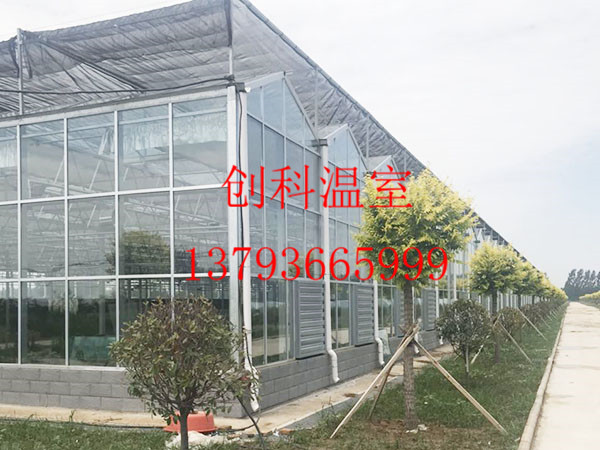 玻璃连栋温室大棚如何选择玻璃？
