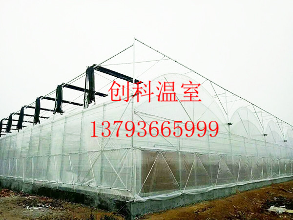 薄膜拱形温室