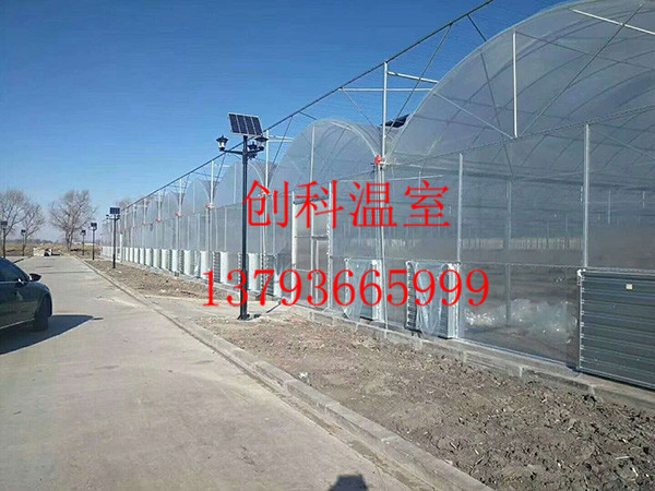 薄膜拱形温室