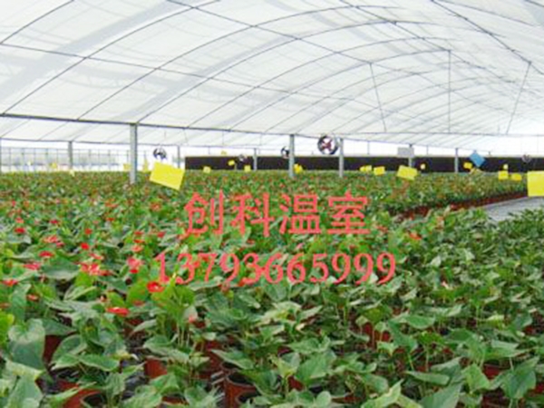 薄膜拱形温室