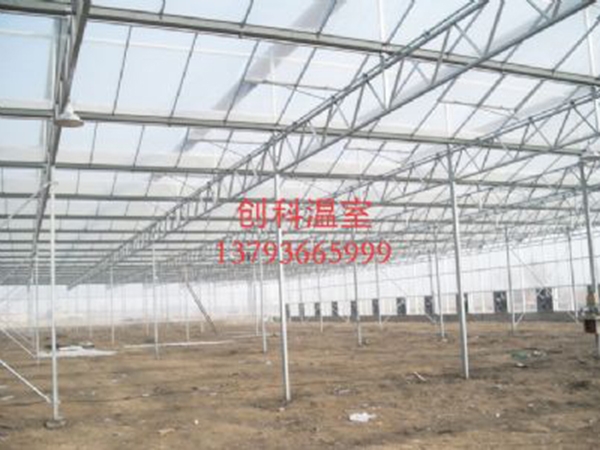 阳光板温室