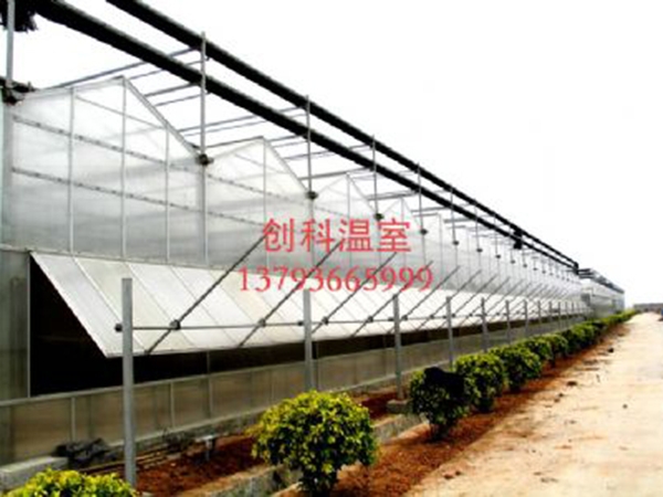 阳光板温室