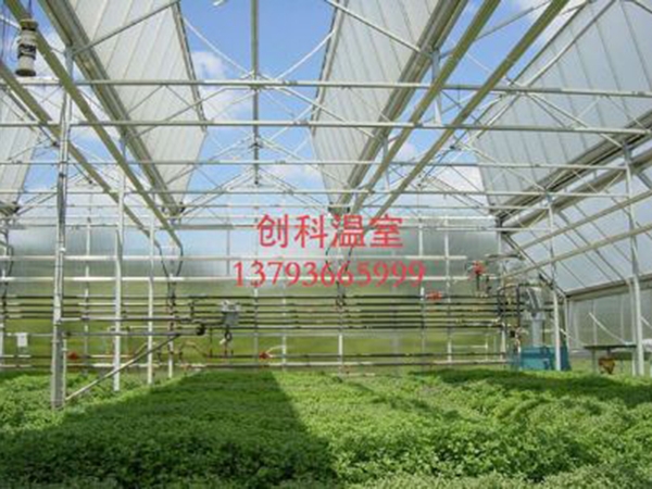 阳光板温室