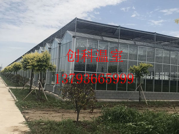 顶部阳光板智能温室大棚